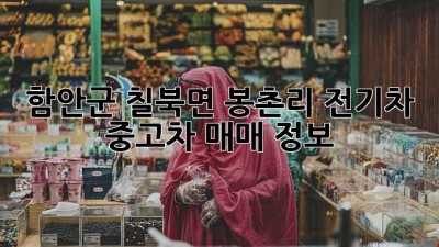 함안군 칠북면 봉촌리 전기차 중고차 매매 정보