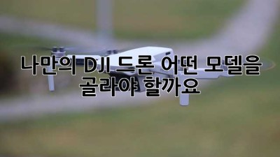 나만의 DJI 드론, 어떤 모델을 골라야 할까요? ✨