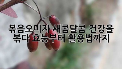 볶음오미자✨: 새콤달콤 건강을 볶다! 효능부터 활용법까지😋